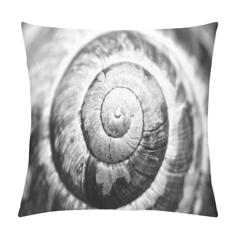 Personality  Detailed Natural Spiral Shell Black And White Photo Pillow Covers