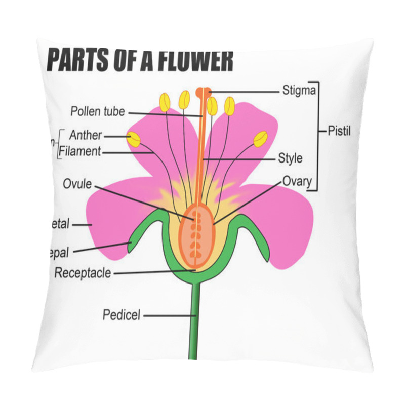 Personality  Parts Of A Flower Pillow Covers