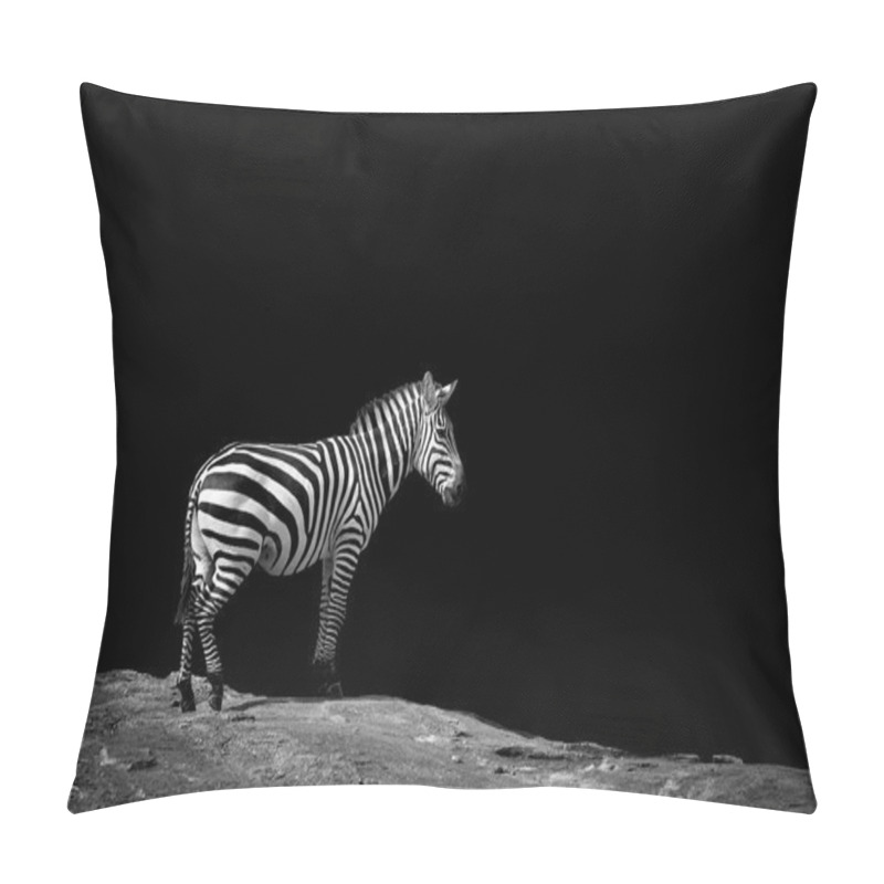 Personality  Zebra On Dark Background Pillow Covers