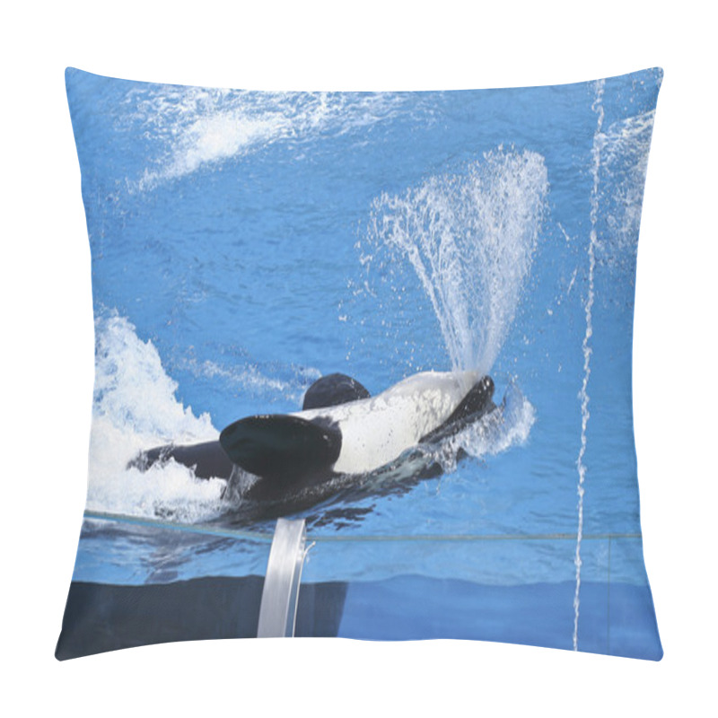 Personality  A Killer Whale Sprays Water From Its Mouth Pillow Covers