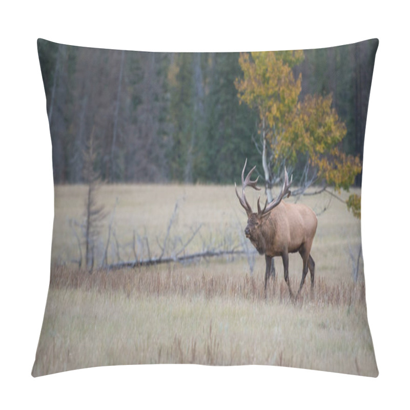 Personality  Elk In Wild, Animal. Nature, Fauna Pillow Covers