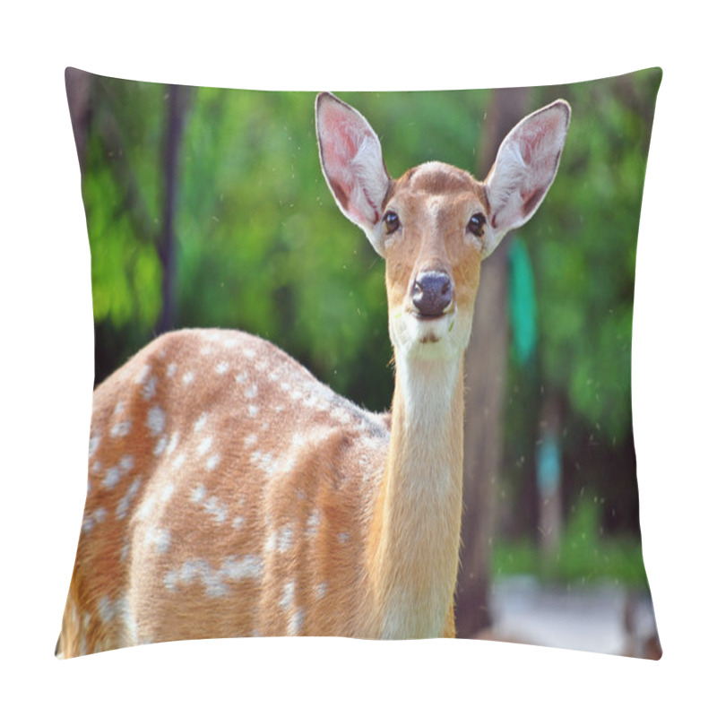 Personality  Sika Deer Pillow Covers