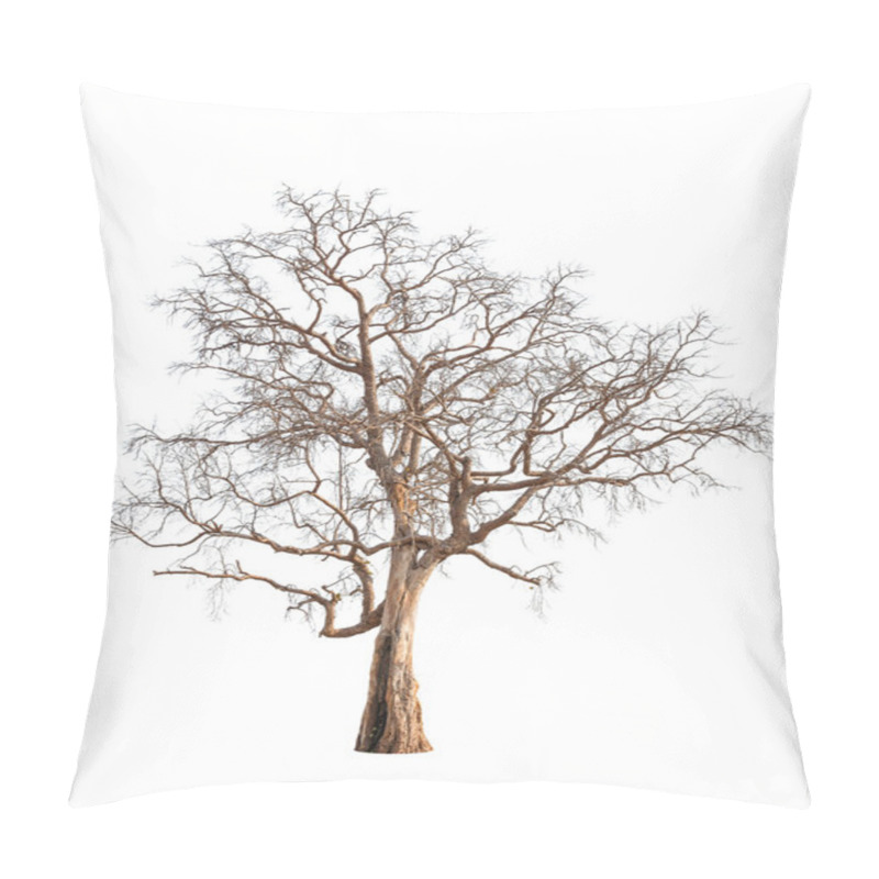 Personality  Old And Dead Tree Isolated On White Background Pillow Covers