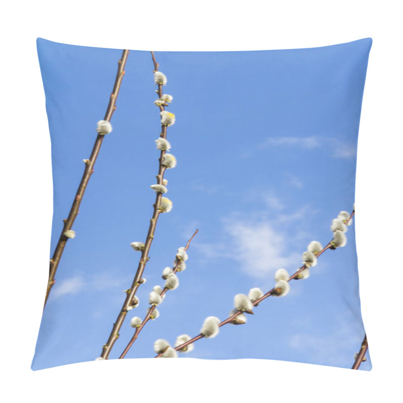 Personality  Catkins On Twigs Pillow Covers