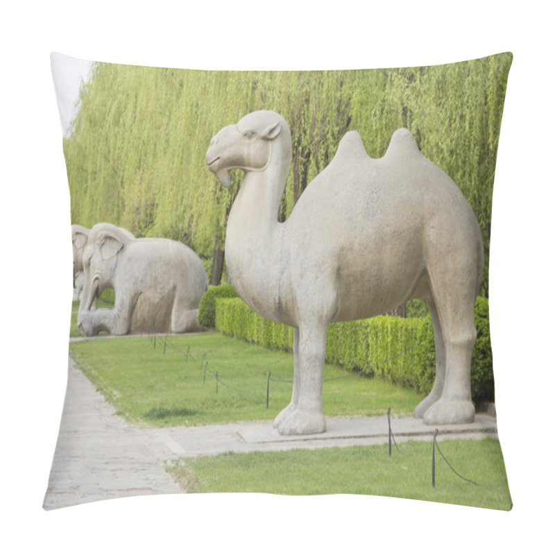 Personality  Avenue Of The Animals, Beijing, China. Pillow Covers