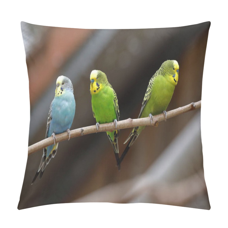 Personality  Australia, Officially The Commonwealth Of Australia, Is A Sovereign Country Comprising The Mainland Of The Australian Continent, The Island Of Tasmania Pillow Covers