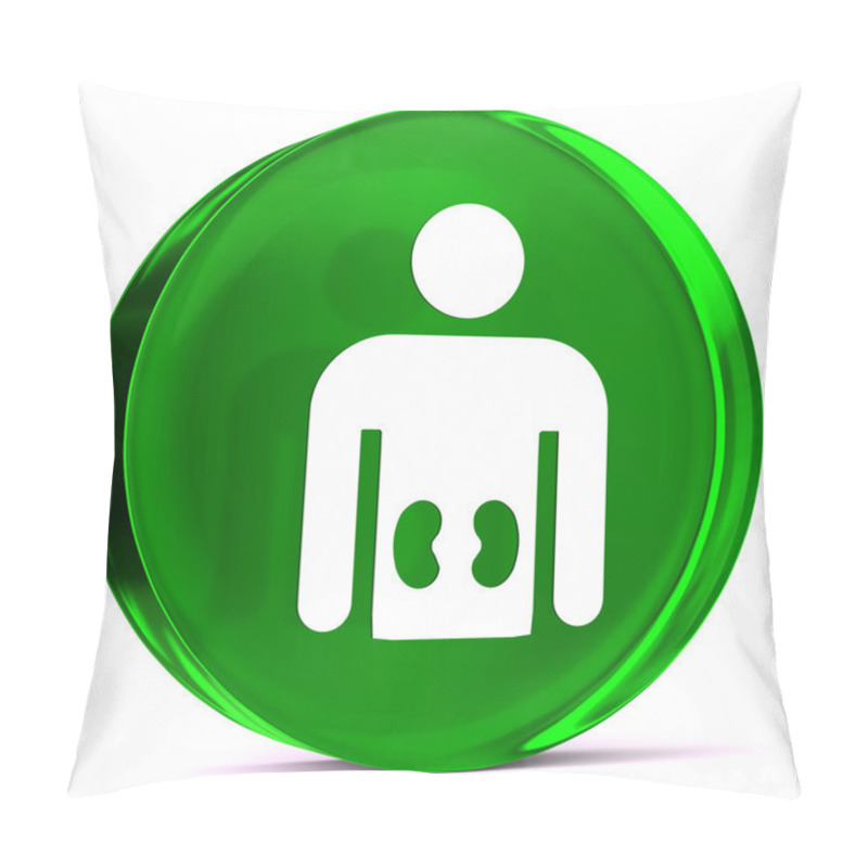 Personality  Kidney Disease Pillow Covers