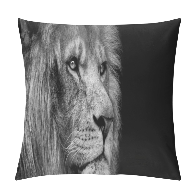 Personality  African Male Lion Baner , Panorama Wildlife Animal Isolated Black White Pillow Covers