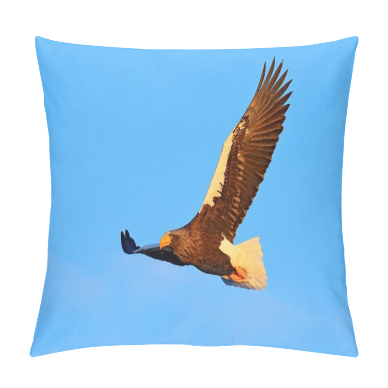 Personality  Eagle Flight During Winter Pillow Covers