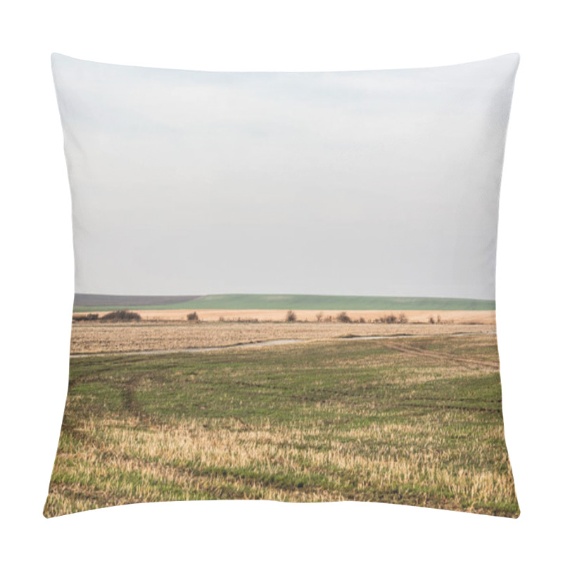 Personality  Grassy Lawn And Field Against Sky With Clouds Pillow Covers