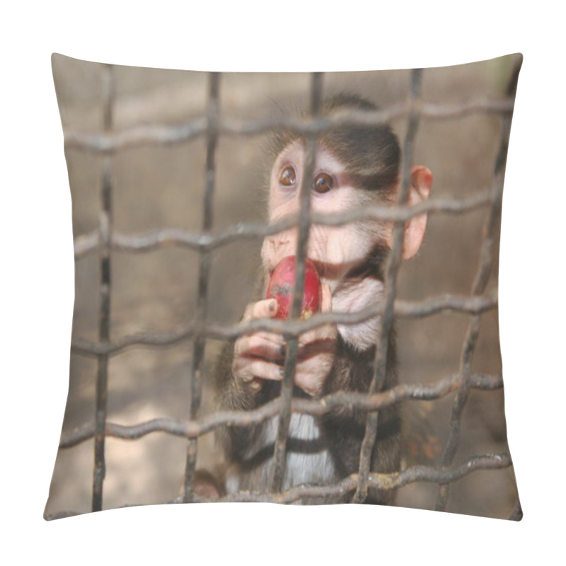 Personality  Sad Monkey With Apple Pillow Covers