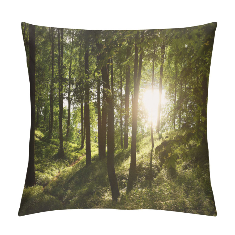 Personality  Sunset Forest Sun Rays Penetrate The Tops Of The Trees. A Warm Summer Sunset.The Beauty Of Nature Pillow Covers