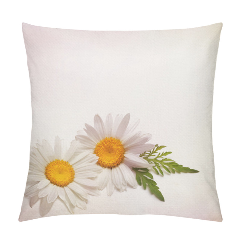 Personality  Textured Card With Chamomile Flower Pillow Covers