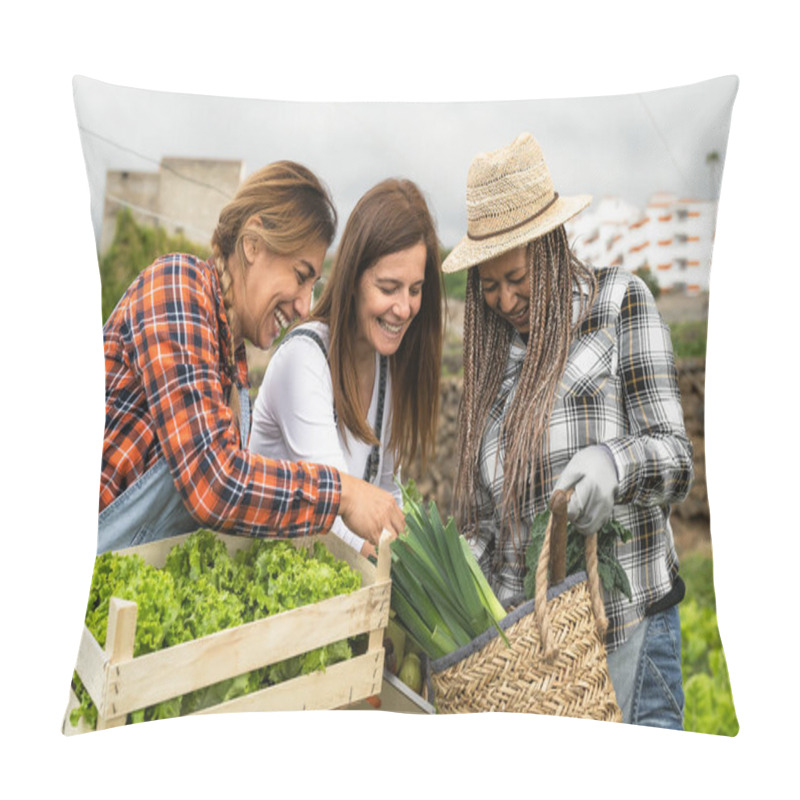 Personality  Multiracial Female Farmers Working In Countryside Holding Wooden Basket Containing Fresh Vegetables - Farm People Lifestyle Concept Pillow Covers