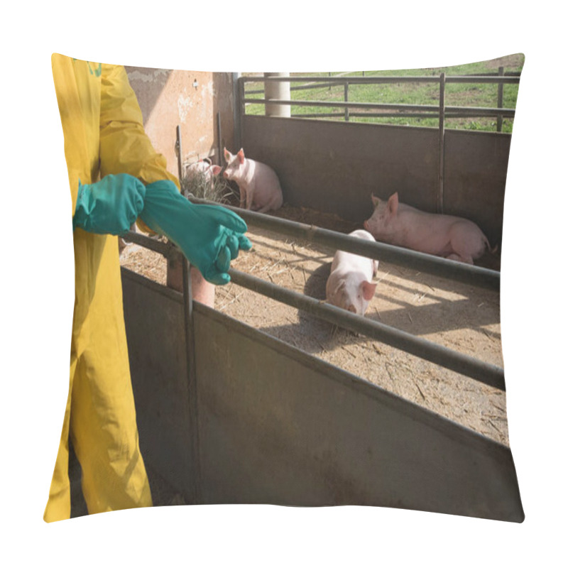 Personality  Classical Swine Fever Or Hog Cholera On A Farm With Pigs Pillow Covers