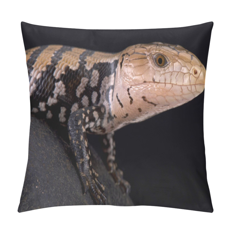 Personality  Kei Island Blue Tongued Skink (Tiliqua Gigas Keiensis) Pillow Covers