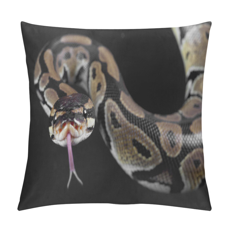 Personality  Python Snake Portrait Pillow Covers