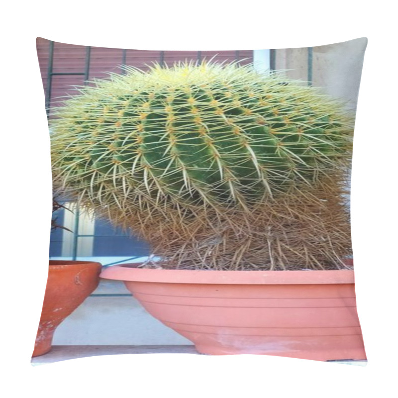 Personality  Echinocactus Grusonii: Mother-in-Law's Cushion - Thorny Beauty In Close-Up.Potted Cactus: Echinocactus Grusonii, Desert Elegance For Gardens And Interiors. Pillow Covers