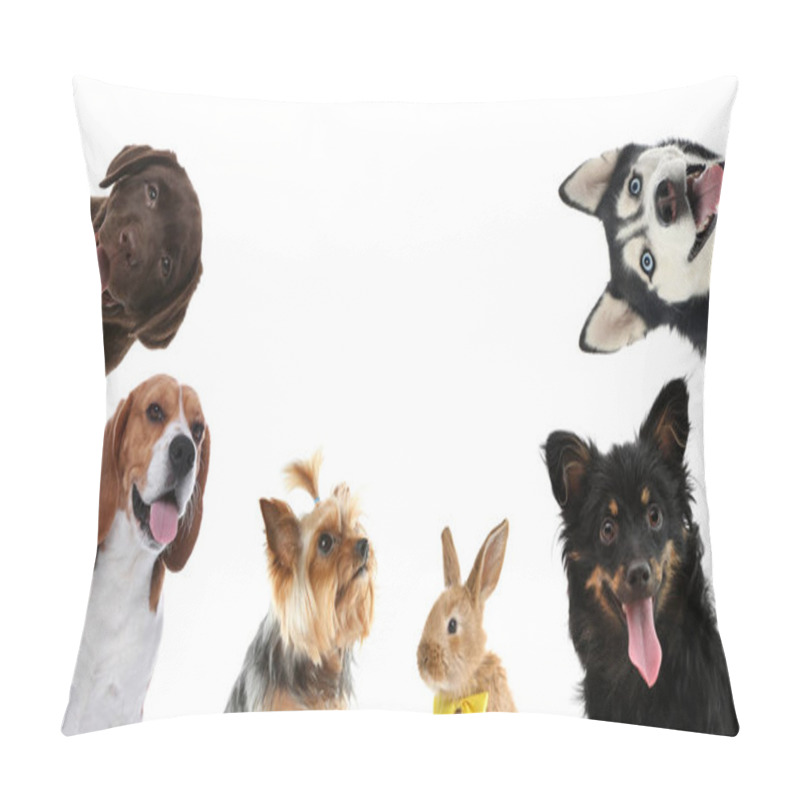 Personality  Set With Different Cute Pets On White Background. Banner Design Pillow Covers