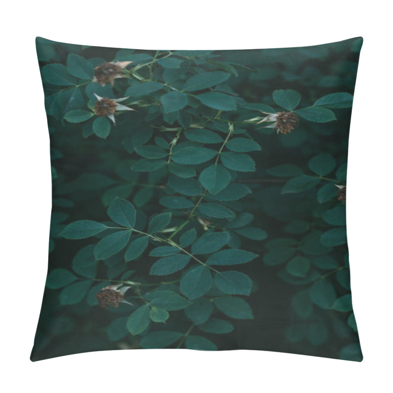 Personality  Dried Rose Flowers On Bush With Green Leaves  Pillow Covers