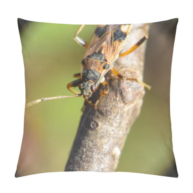 Personality  Rhyparochromidae Sits On A Branch. Macro Photo Of An Insect Pillow Covers