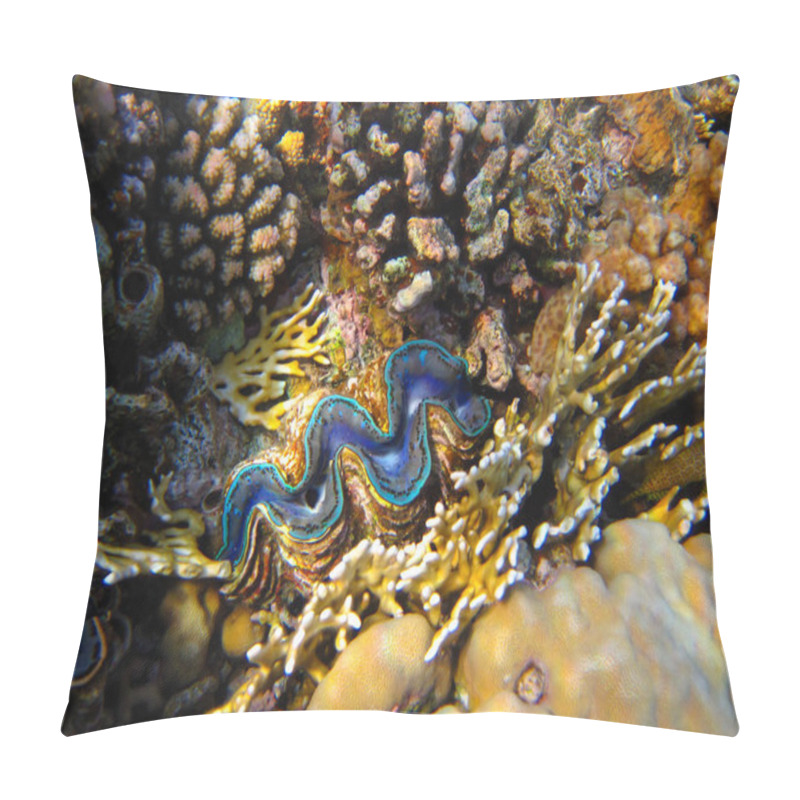 Personality  Tridacna Gigas, Giant Tridacna, Or Giant Cocked Hat In The Red Sea Coral Reef, Hurghada, Egypt Pillow Covers