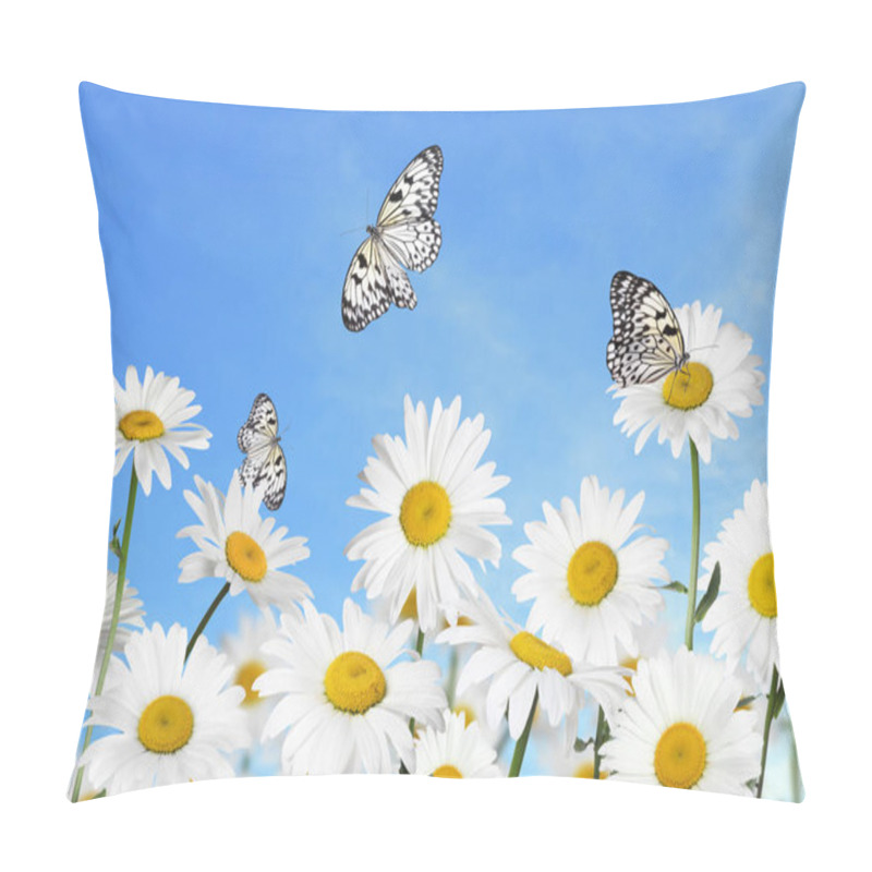 Personality  Beautiful Chamomile Flowers Outdoors On Sunny Day. Springtime  Pillow Covers