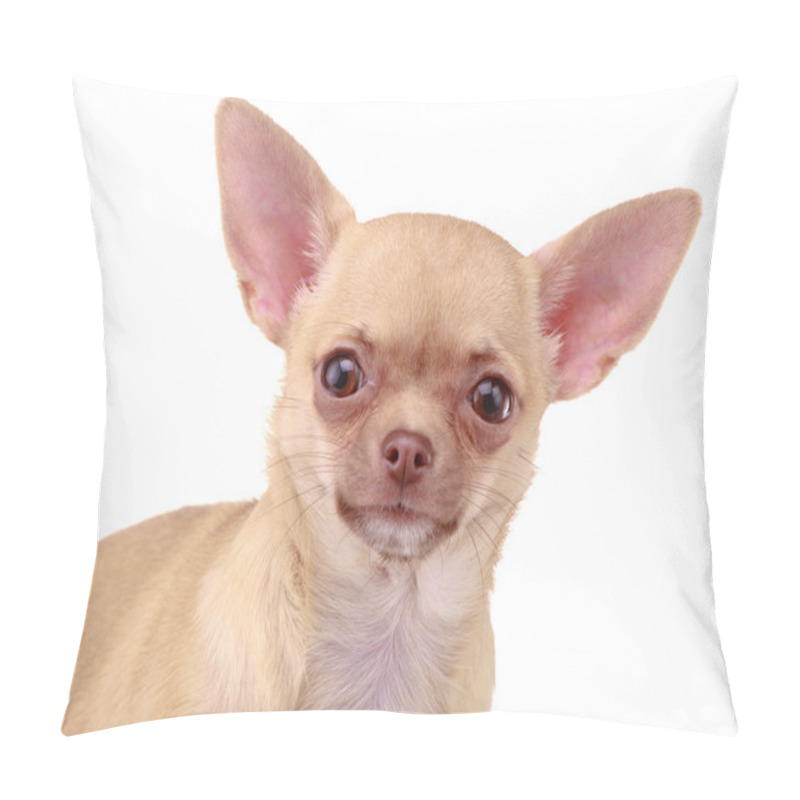 Personality  Chihuahua Dog Pillow Covers