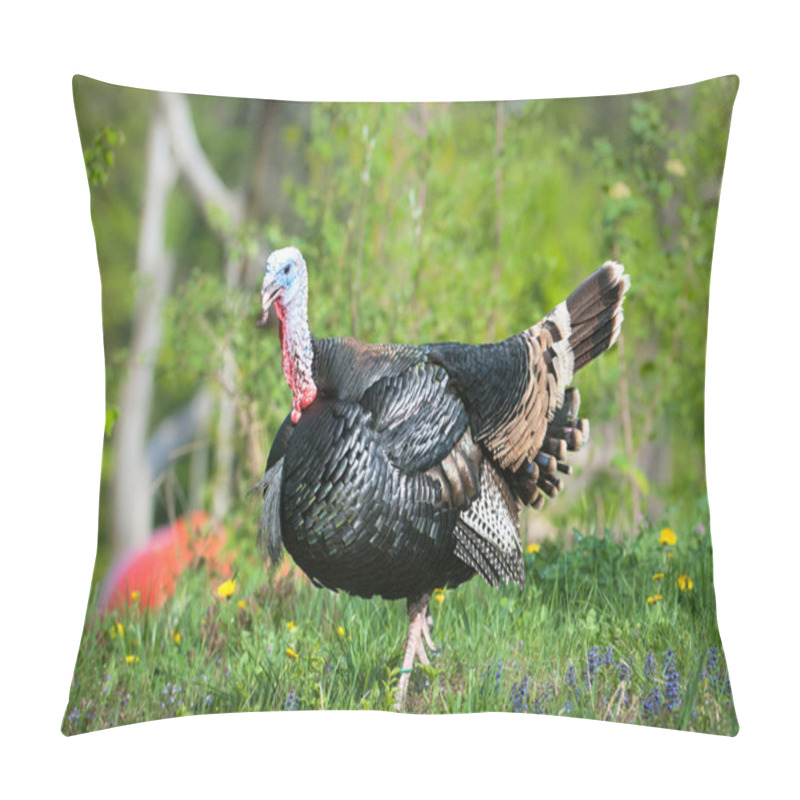 Personality  Turkey (lat. Meleagris Gallopavo) Pillow Covers