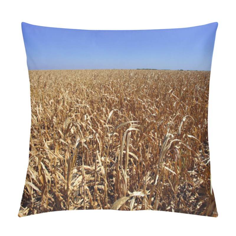 Personality  Corn Field In Bad Shape Pillow Covers