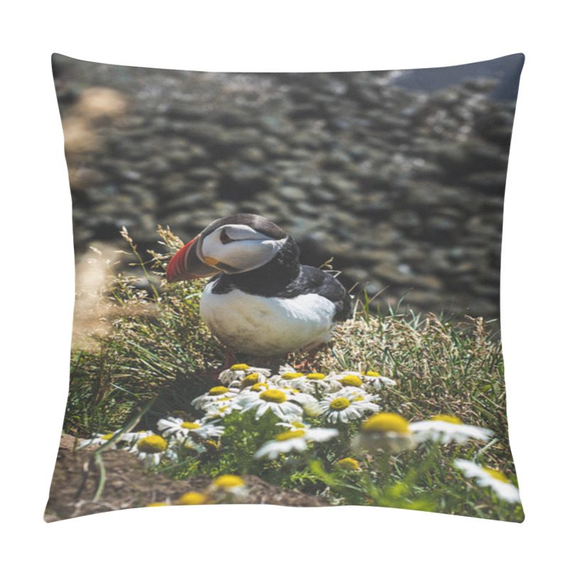 Personality  Puffin Pillow Covers