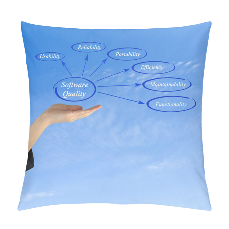 Personality  Diagram Of Software Quality Pillow Covers