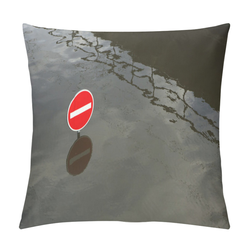 Personality  Floods In Usti Nad Labem Pillow Covers