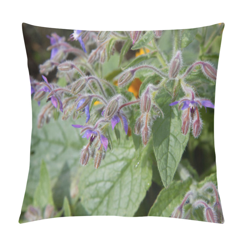 Personality  Starflower Pillow Covers