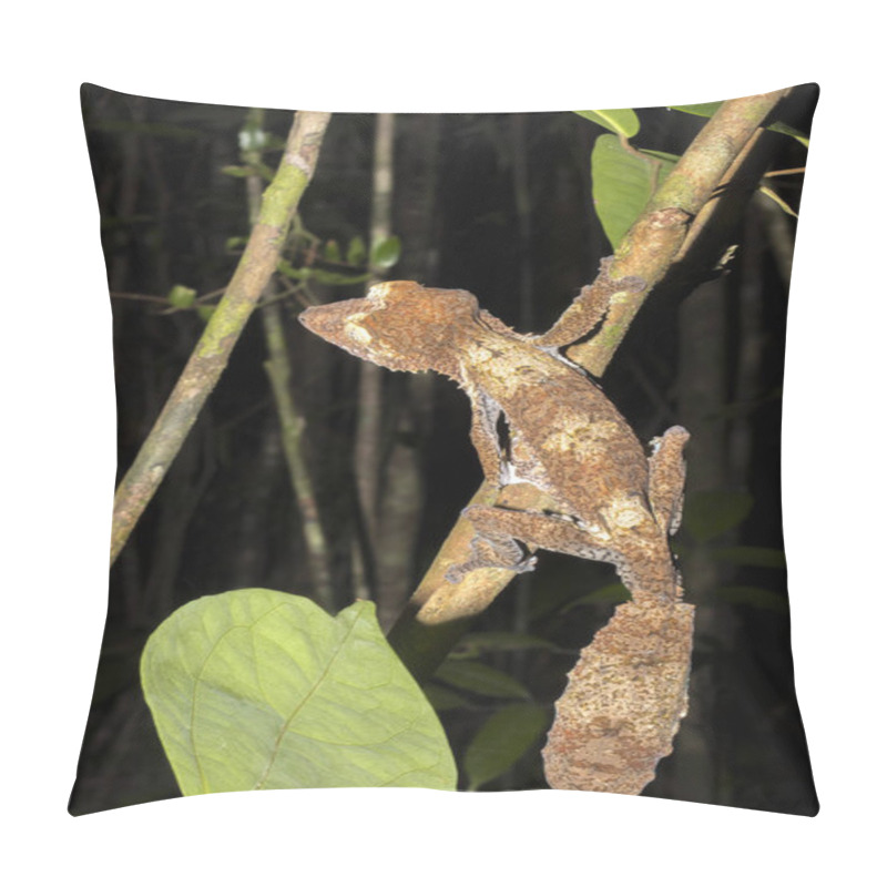 Personality  Fat-tail Gecko Uroplatus Fimbriatus, Nosy Mangabe, Madagascar Pillow Covers