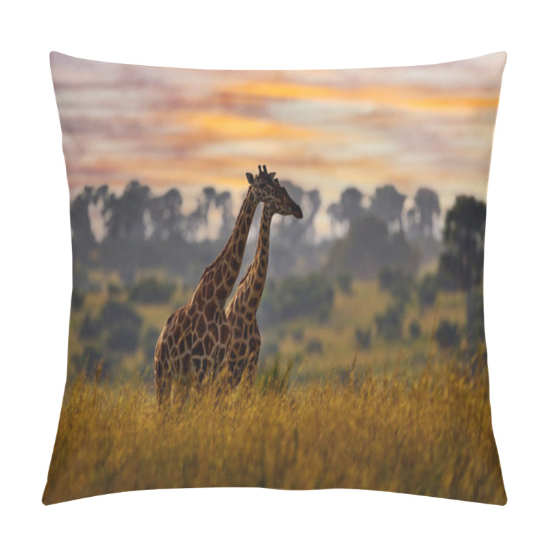 Personality  Africa Sunset Nature. Big Herd With Blue Sky With Clouds. Giraffe And Morning Sunrise. Green Vegetation With Animal Portrait. Wildlife Scene From Nature. Orange Light In The Forest, Murchison Falls NP Uganda Pillow Covers