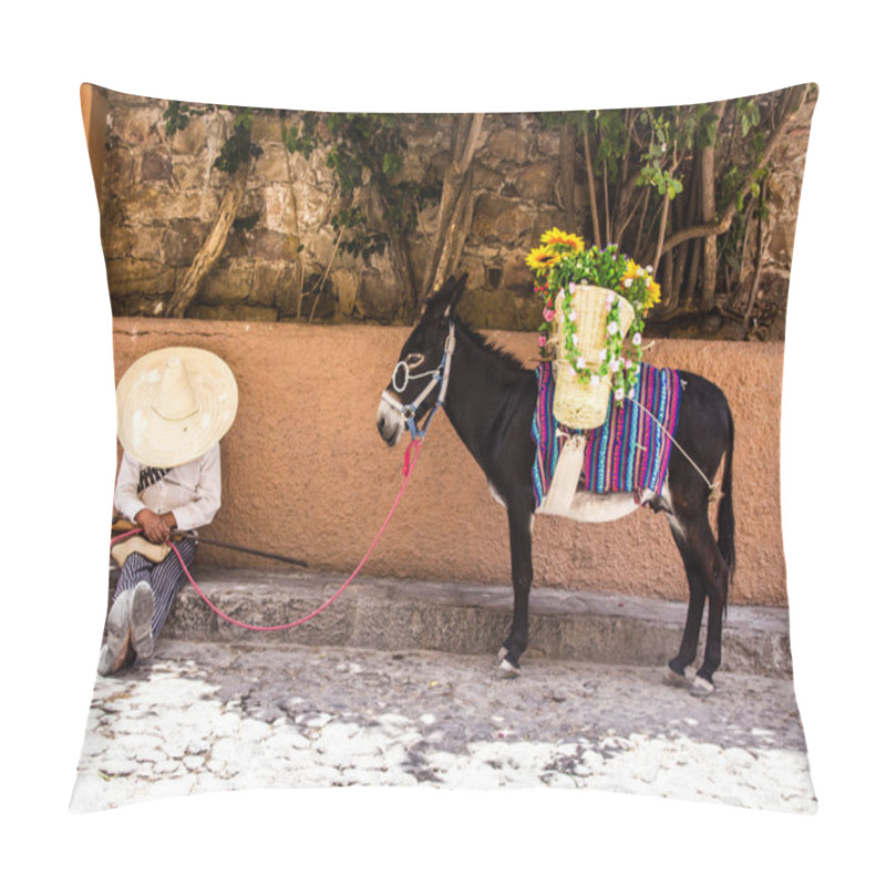 Personality  Man With Mexican Revolutionary Costume And Donkey Pillow Covers