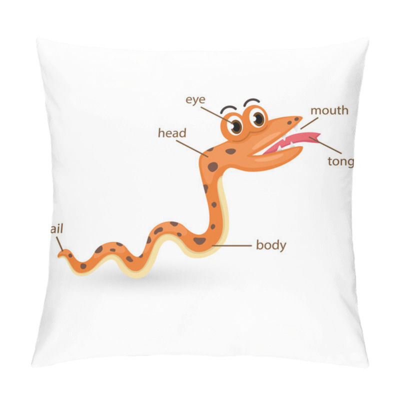 Personality  Snake Vocabulary Part Of Body Vector Pillow Covers