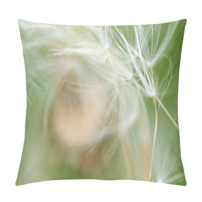 Personality  Dandelion Pillow Covers