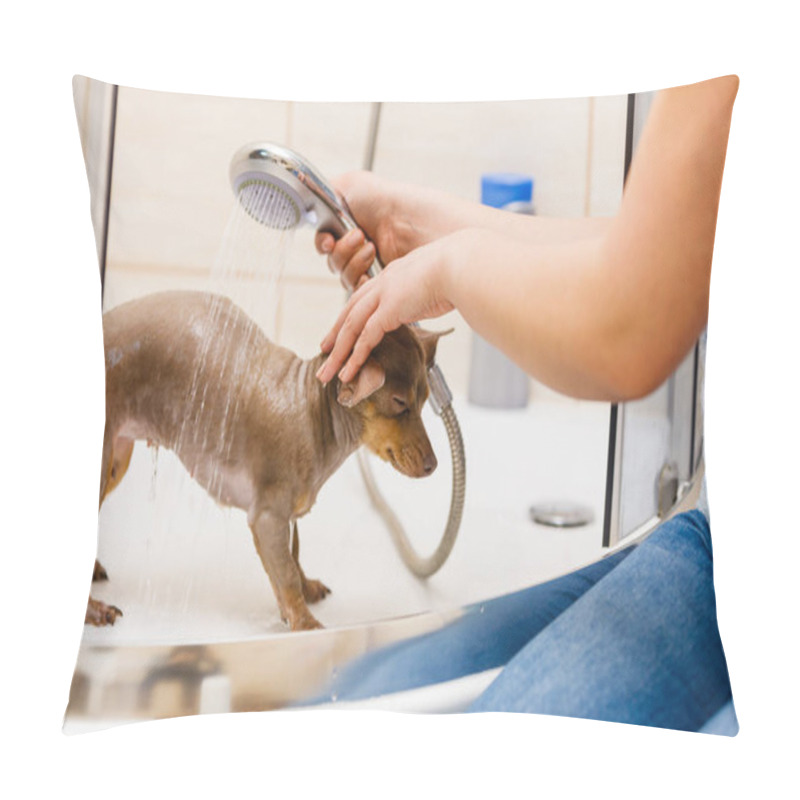 Personality  Woman Showering Her Dog Pillow Covers