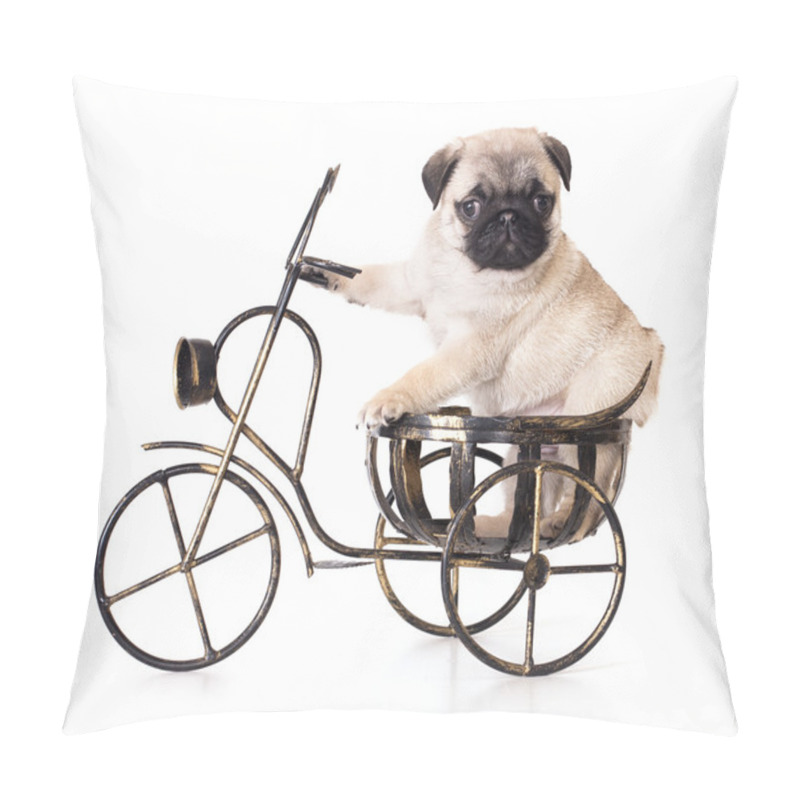 Personality  Pug Purebred Pillow Covers