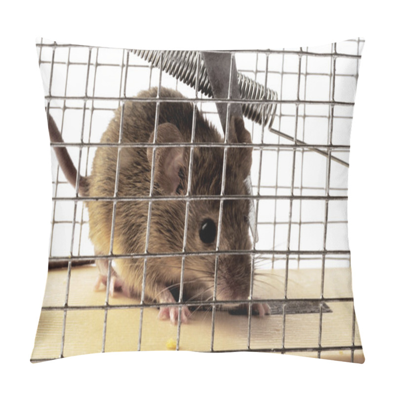 Personality  Scoop Or Mouse Trap Pillow Covers