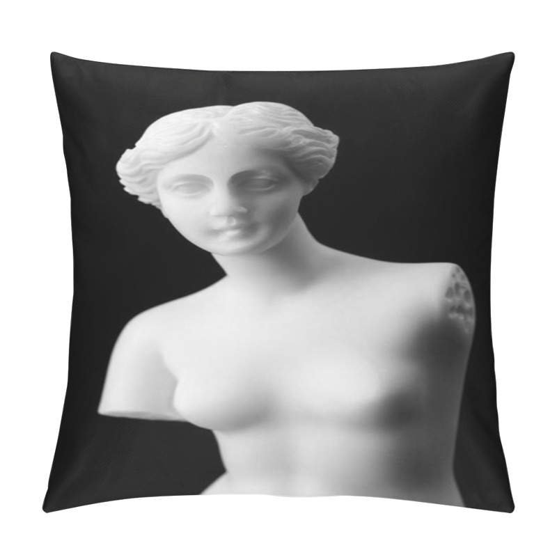 Personality  The Venus De Milo Is A Marble Statue Of The Hellenistic Era. Pillow Covers