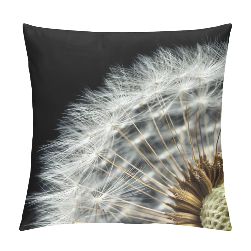 Personality  Close-up Of Dandelion Seed Head Pillow Covers