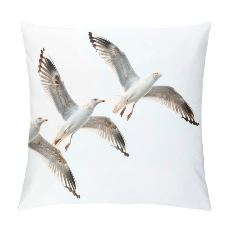 Personality  Three Seagulls In Flight Against A Soft, Cloudy Sky. Pillow Covers