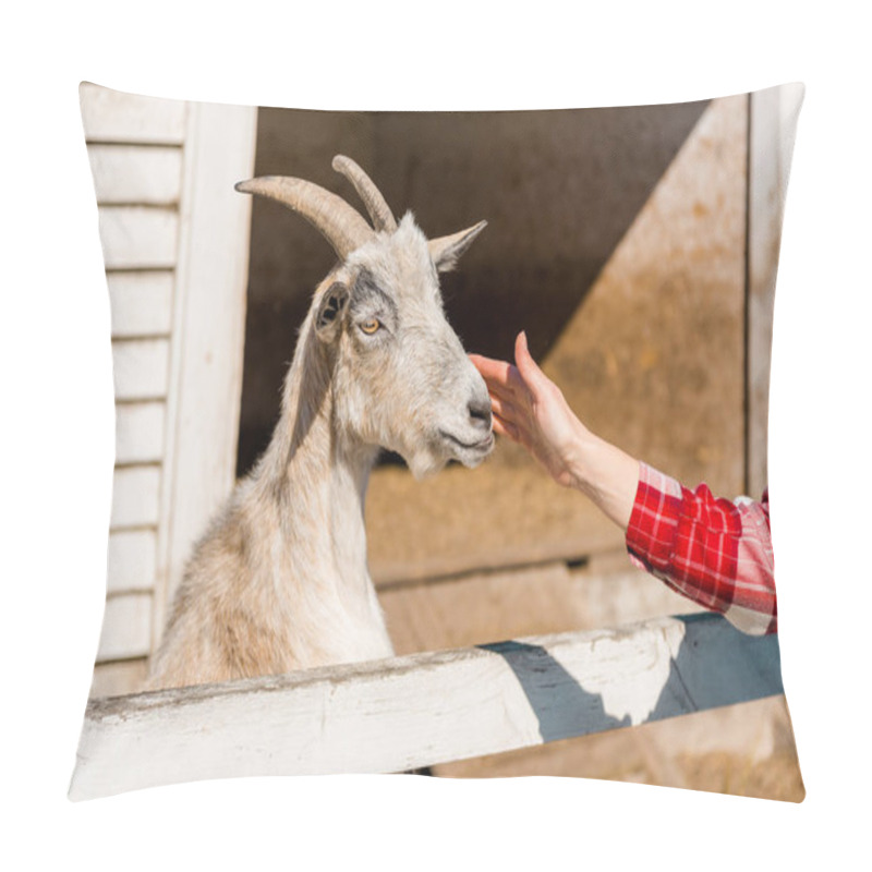 Personality  Cropped Image Of Woman Touching Goat Near Wooden Fence At Farm Pillow Covers