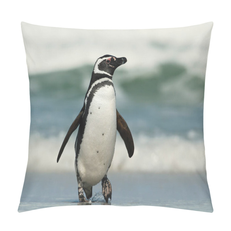 Personality  Close-up Of A Magellanic Penguin On A Sandy Beach In Summer, Falkland Islands.  Pillow Covers