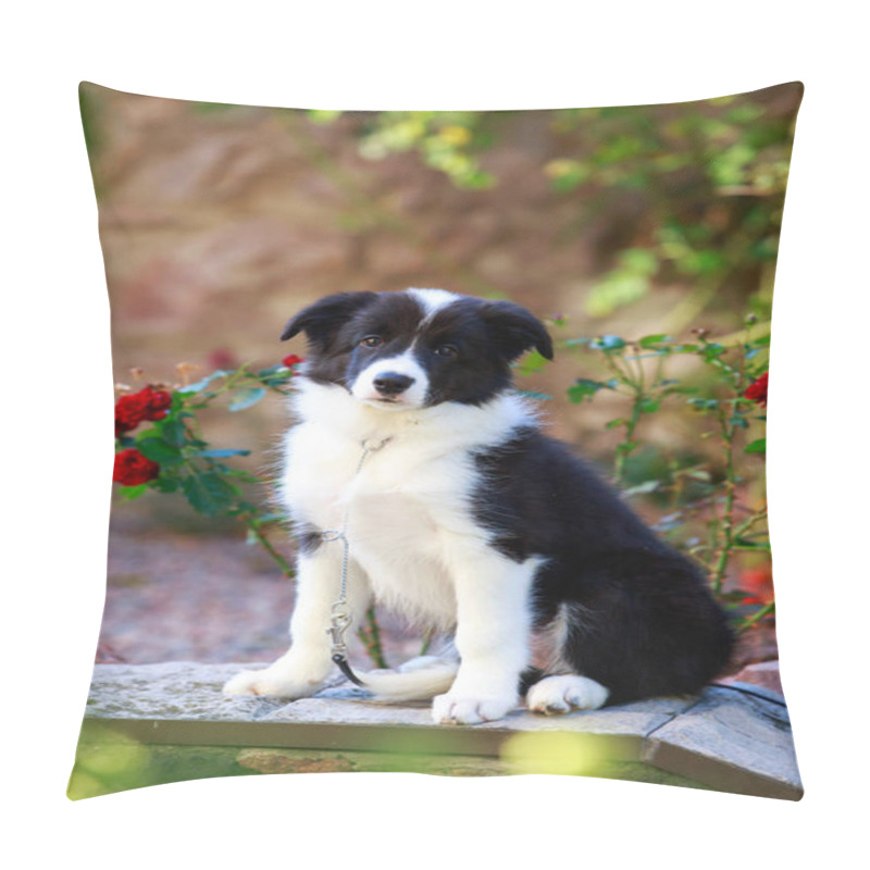 Personality  Portrait Small Puppy Breed Border Collie A Close-up In The Garden Pillow Covers