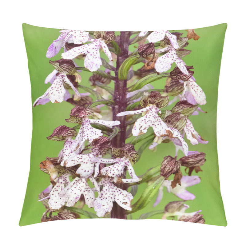 Personality  Flowers Growing In Rural Areas. Wild Orchid Photos. Pillow Covers