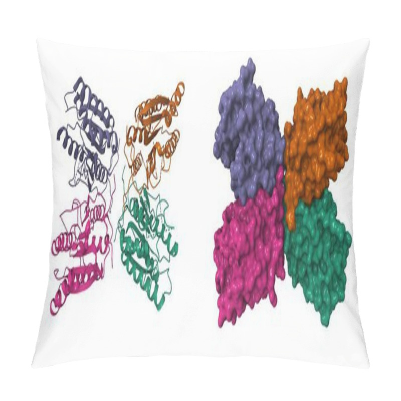 Personality  Crystal Structure Of Human Ligand-free Mature Caspase-6. 3D Cartoon And Molecular Surface Models, PDB 3k7e, Chain Id Color Scheme Pillow Covers